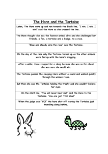 The Hare and the Tortoise: A Classic Fable