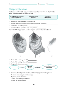 Cell Structure & Function Chapter Review Worksheet