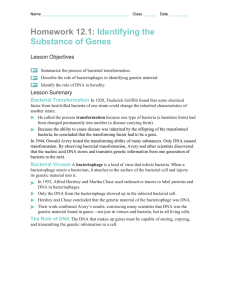 Homework 12.1: Identifying the Substance of Genes