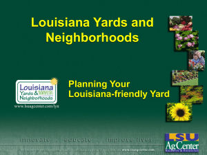 Louisiana Yards and Neighborhoods Planning Your Louisiana-friendly Yard