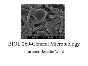 BIOL 260-General Microbiology Instructor: Jennifer Ward