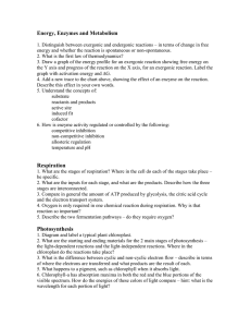 Energy, Enzymes and Metabolism