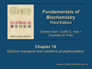 Fundamentals of Biochemistry Chapter 18 Third Edition