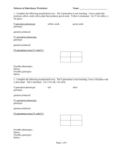 Genetics Inheritance Worksheet: Monohybrid & Dihybrid Crosses