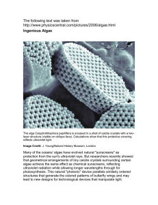 The following text was taken from  Ingenious Algae