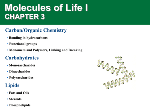 Molecules of Life I CHAPTER 3 Carbon/Organic Chemistry Carbohydrates