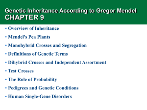 CHAPTER 9 Genetic Inheritance According to Gregor Mendel