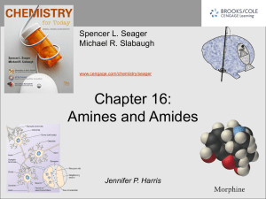 Chapter 16: Amines and Amides Spencer L. Seager Michael R. Slabaugh