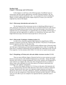 Reading Guide Chapter 3: Microscopy and Cell Structure