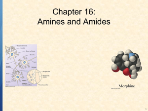 Chapter 16: Amines and Amides 1