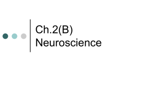 Ch.2(B) Neuroscience