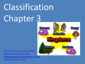 Classification Chapter 3 Created &amp; shared by Jamie Miller