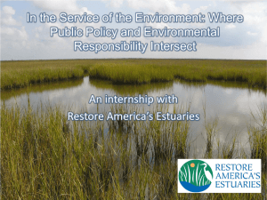 In the Service of the Environment: Where Public Policy and Environmental