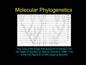 Molecular Phylogenetics On On the Origin of Species