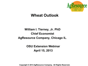 Wheat Outlook