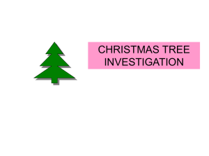 CHRISTMAS TREE INVESTIGATION