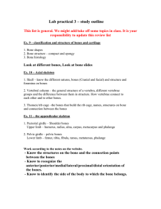 Lab practical 3 – study outline