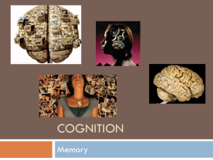 COGNITION Memory