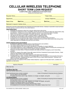 CELLULAR WIRELESS TELEPHONE SHORT TERM LOAN REQUEST COMPUTING AND COMMUNICATION SERVICES