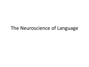 The Neuroscience of Language