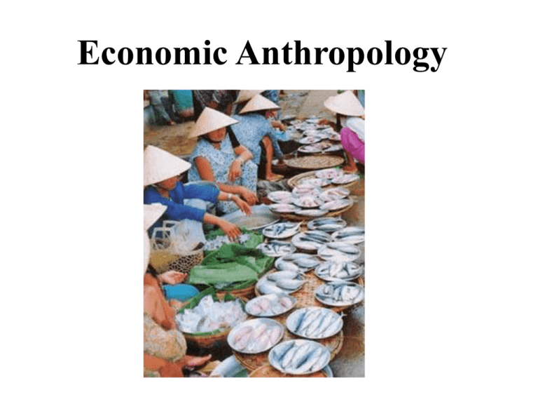 economic anthropology phd