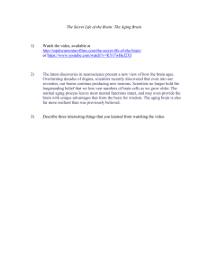 The Aging Brain: Neuroscience Worksheet