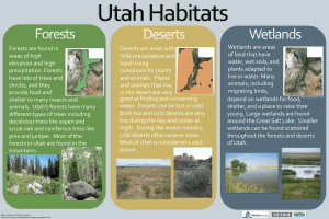Utah Habitats: Forests, Deserts, Wetlands