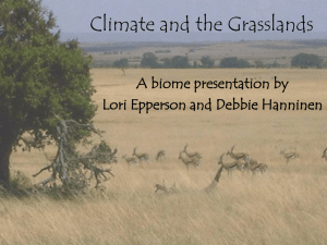 Climate and the Grasslands A biome presentation by