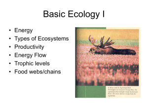 Basic Ecology I • Energy • Types of Ecosystems • Productivity