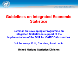 Guidelines on Integrated Economic Statistics