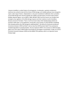 Document17074961 17074961