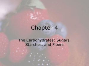 Chapter 4 The Carbohydrates: Sugars, Starches, and Fibers © 2008 Thomson - Wadsworth