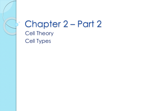 Chapter 2 – Part 2 Cell Theory Cell Types