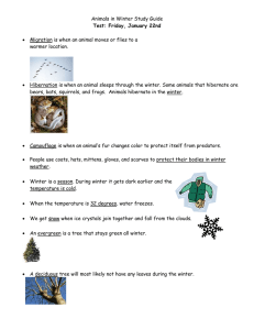 Animals in Winter Study Guide  warmer location.