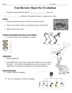 Evolution Test Review Sheet: Key Concepts & Definitions