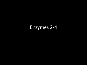 Enzymes 2-4