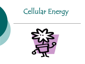 Cellular Energy
