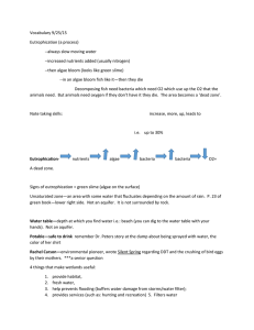 Vocabulary 9/25/15 Eutrophication (a process)  --always slow moving water