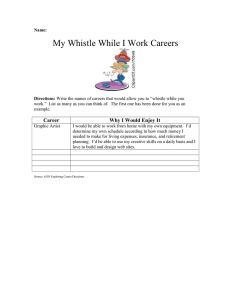 My Whistle While I Work Careers  Career Why I Would Enjoy It
