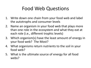 Food Web Questions