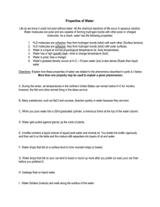 Water Properties Worksheet: Cohesion, Adhesion, Density