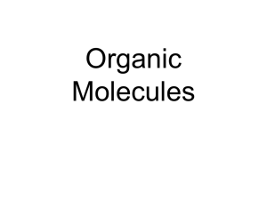 Organic Molecules