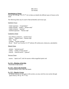 BSC 2011L Lab Outline Use pp. 585-589 (pp. 574-578 7