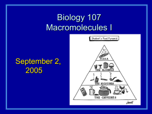 Biology 107 Macromolecules I September 2, 2005
