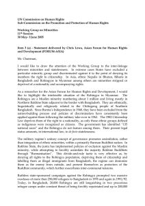 UN Commission on Human Rights  Working Group on Minorities