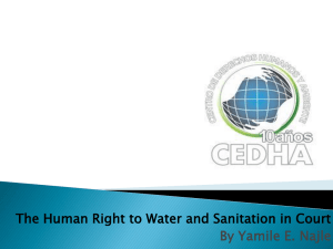 The Human Right to Water and Sanitation in Court