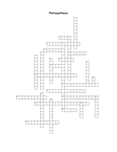Photosynthesis Crossword Puzzle: Biology Review