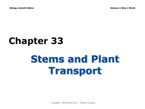 Stems and Plant Transport Chapter 33 Biology,
