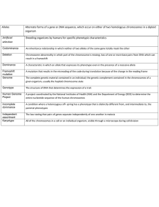 Alleles gene organism Breeding organisms by humans for specific phenotypic characteristics