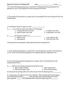Genetics Practice Problems Worksheet